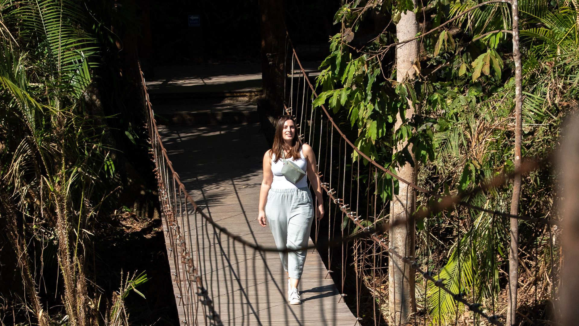 Auf den Spuren von Elefanten im Khao Yai Nationalpark