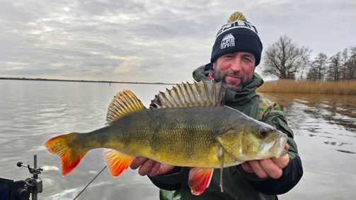 Perch Cup 2022 Perch Cup 2022 - Staffel 1 Folge 6: Folge 6