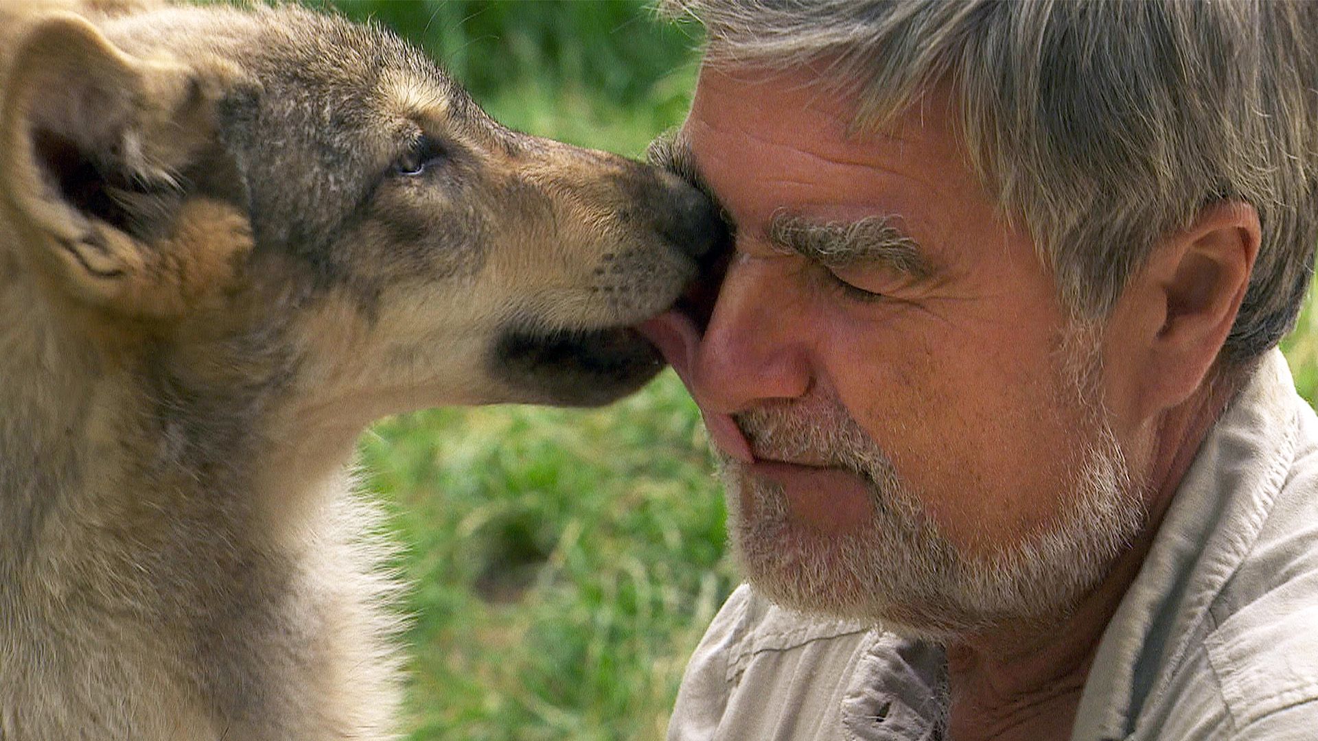 Kurt und seine Wölfe
