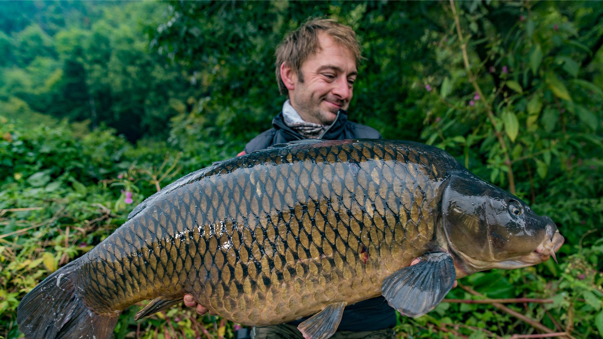 Beste Rolle zum Karpfenangeln