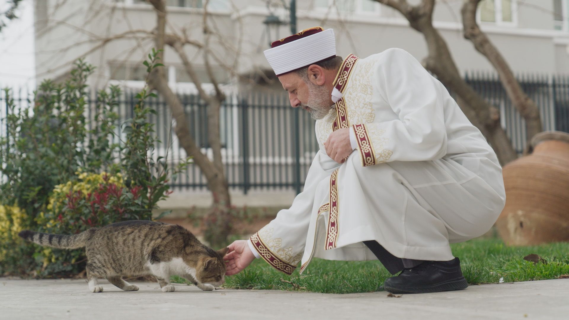 Istanbul, Stadt der Katzen