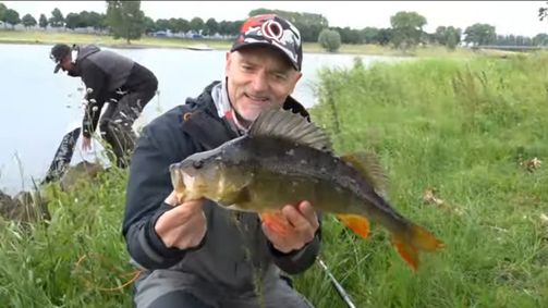 River Fighters River Fighters - Staffel 1 Folge 12: Episode 12