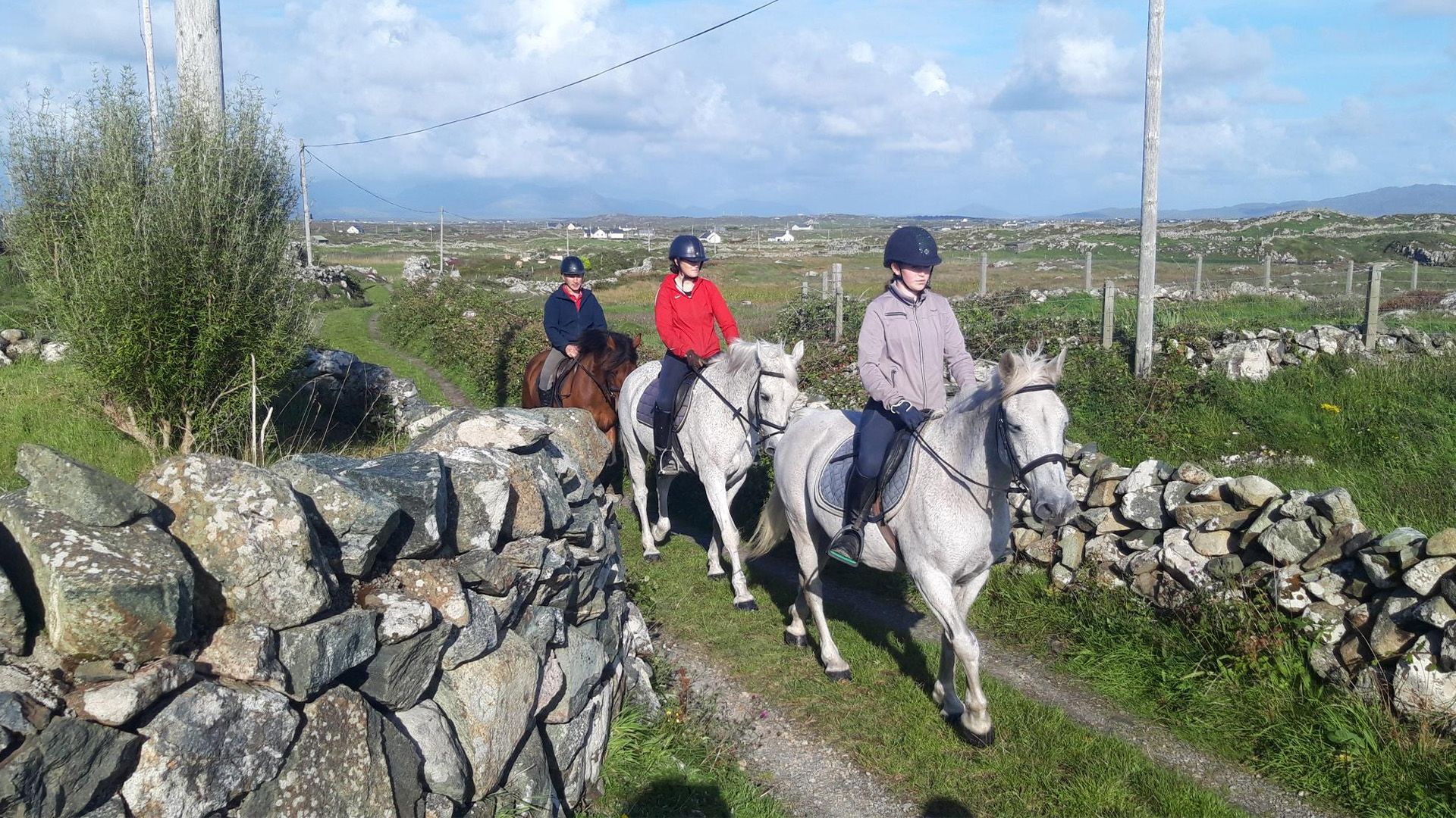 Connemara - Wie das Land, so das Pony