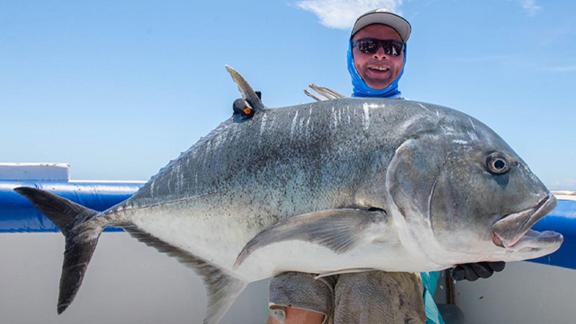 Kenya - Land of Giants 2023