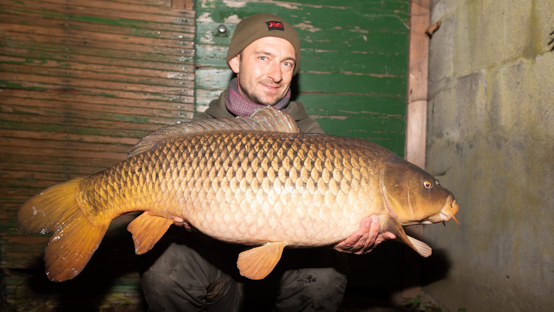 Bestes Futter im Winter