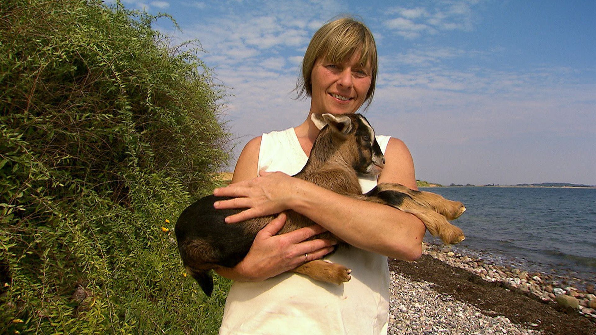 Die Küsten der Ostsee