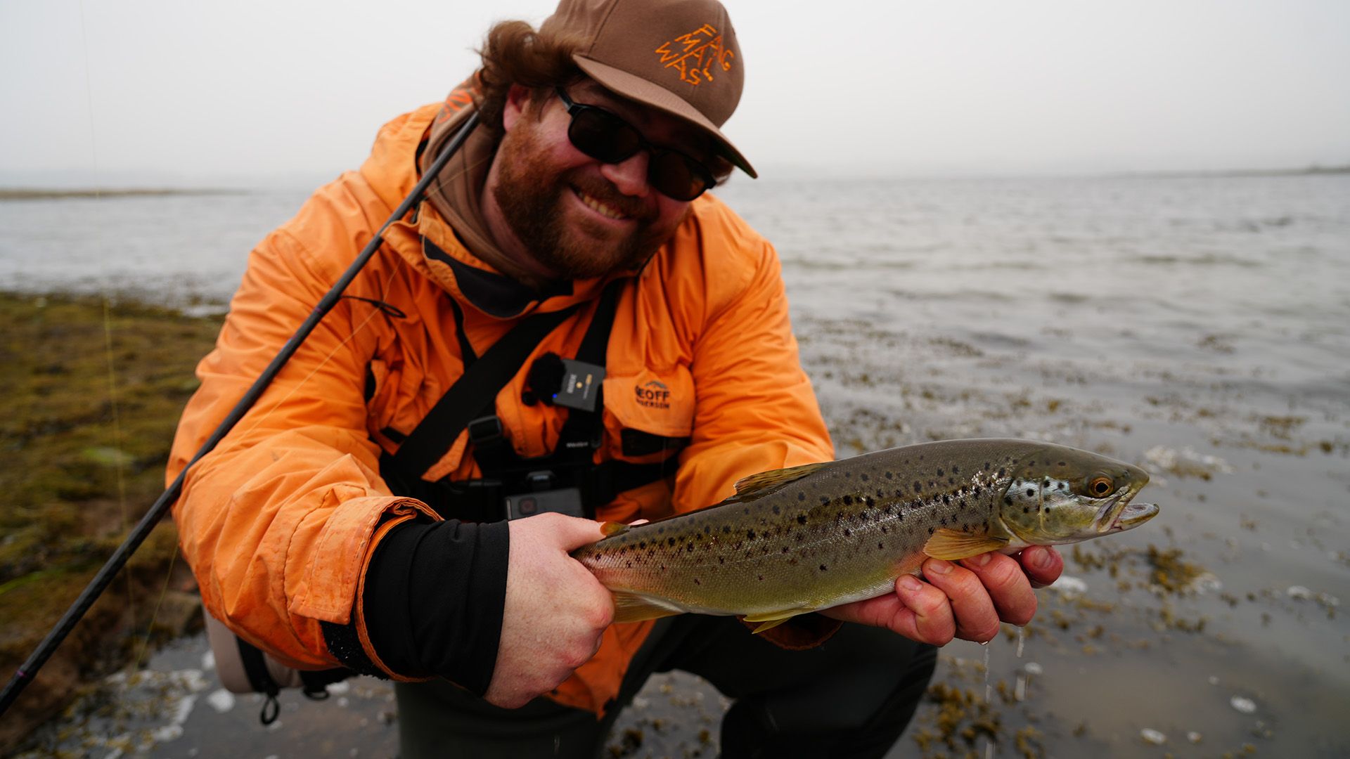 Welcher Köder auf Meerforelle?