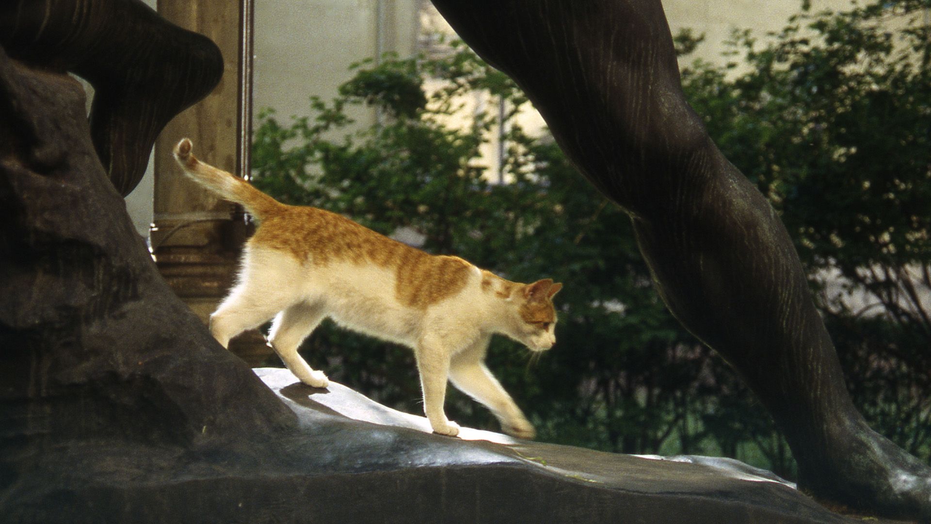 Eremitage - Palast der Katzen