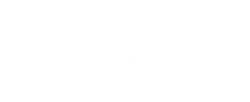 Massenweise Tarponfänge vor Trinidad