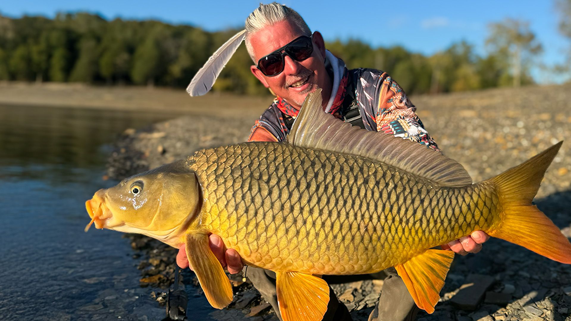 Im Land der wilden Fullys