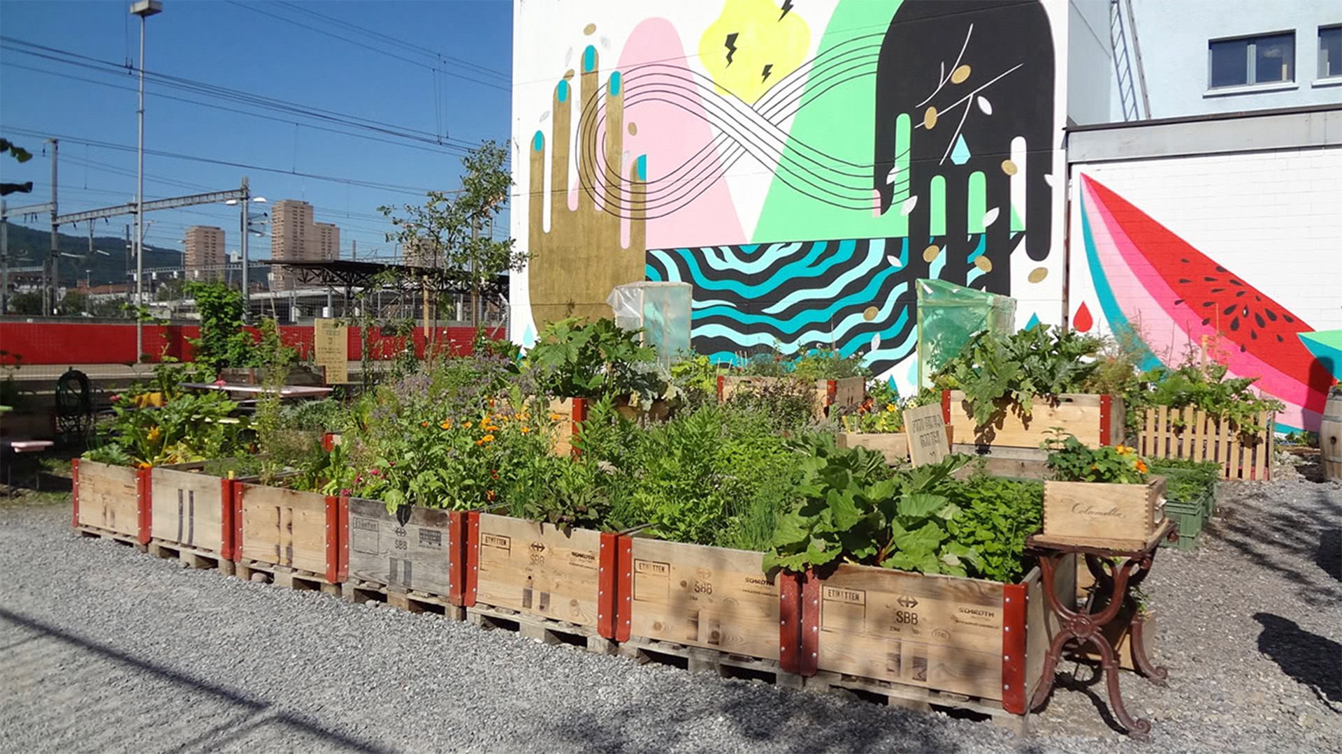Urban Farming ¿ Gemüse aus der Stadt