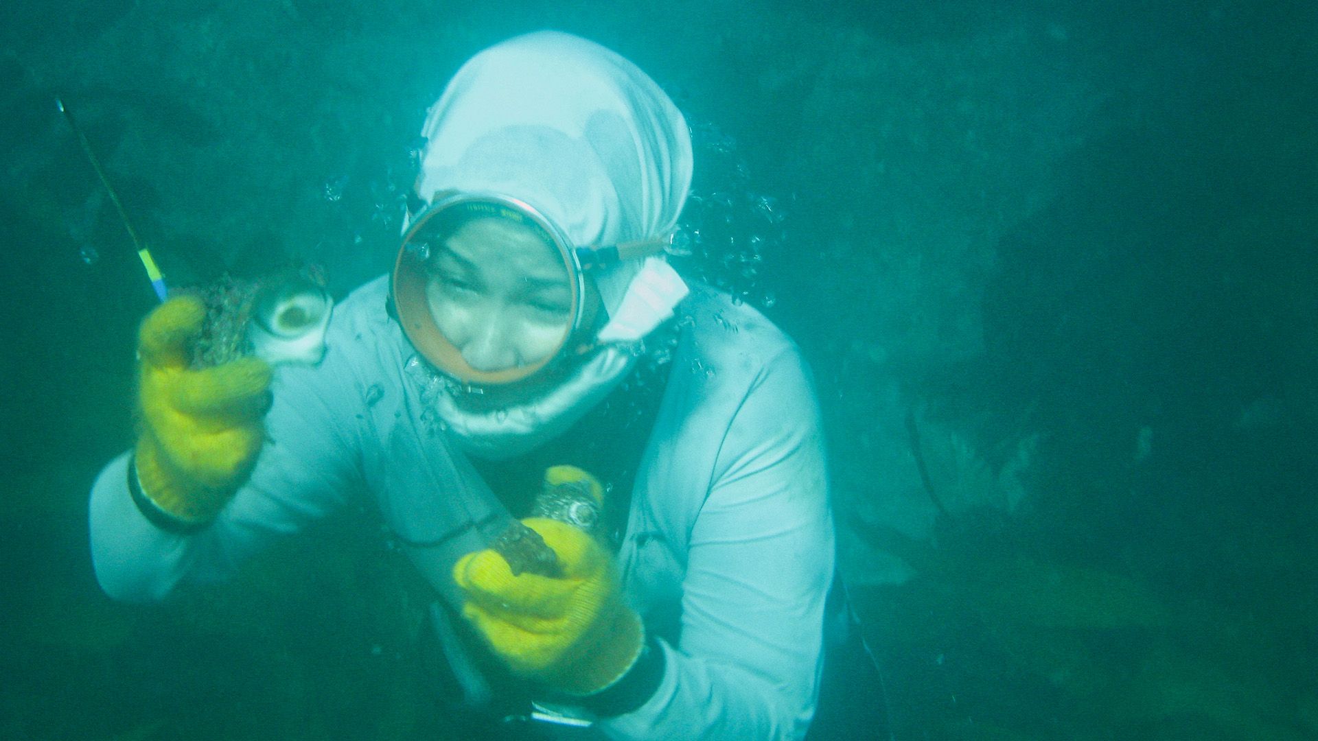 Die Meerfrauen von Japan
