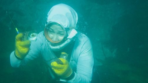 Planet Weltweit Planet Weltweit - Staffel 11 Folge 12: Die Meerfrauen von Japan