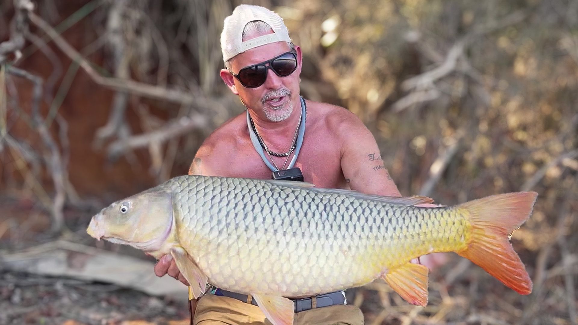 Zwischen Geier und Buffalos