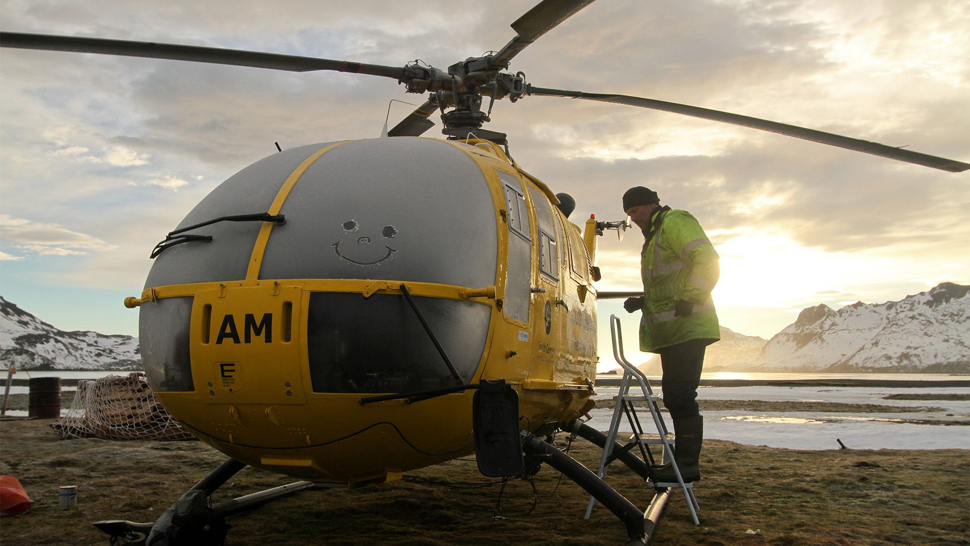 Rattenjagd im Südpolarmeer