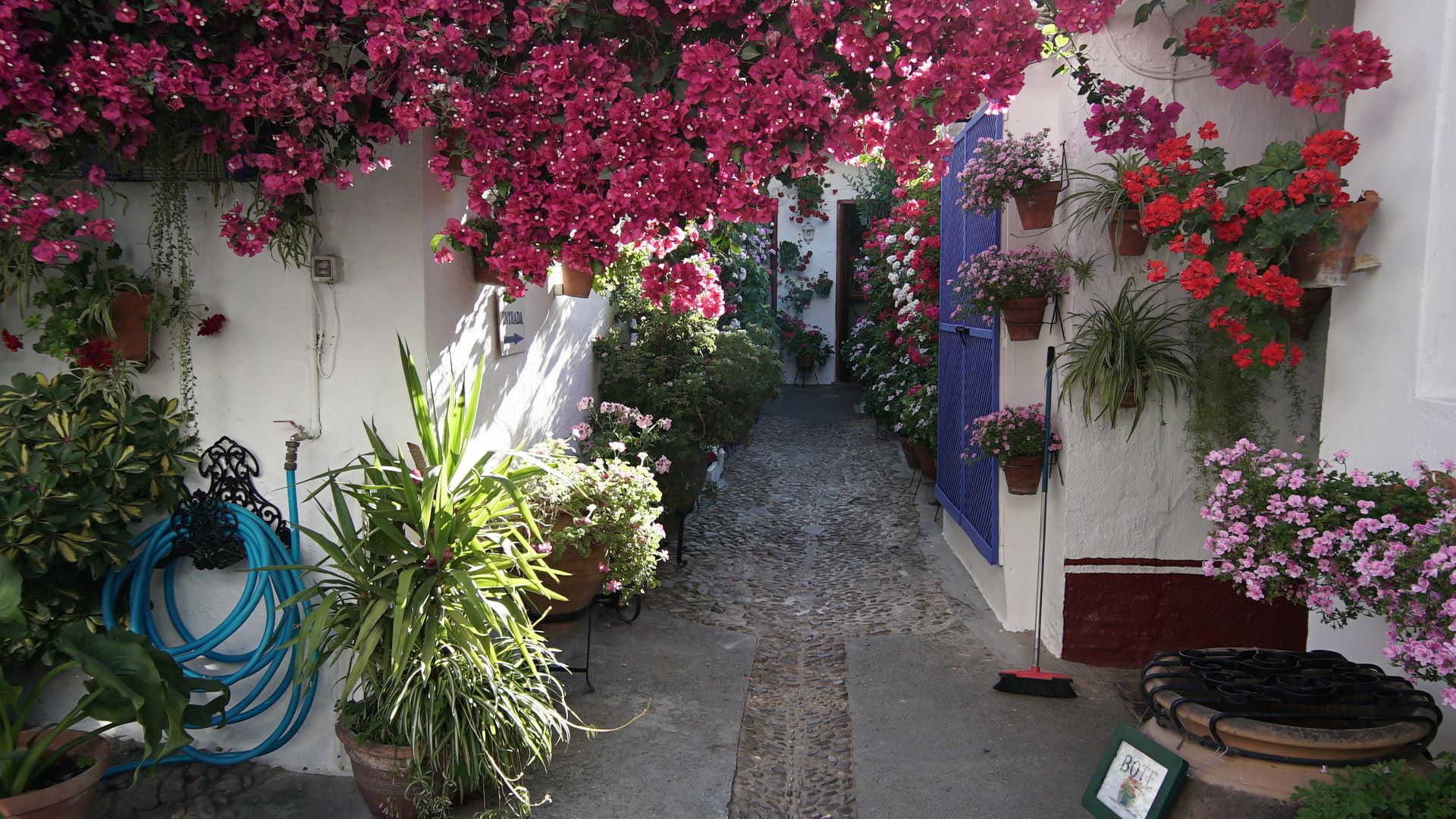 Cordóba, die Stadt der Patios