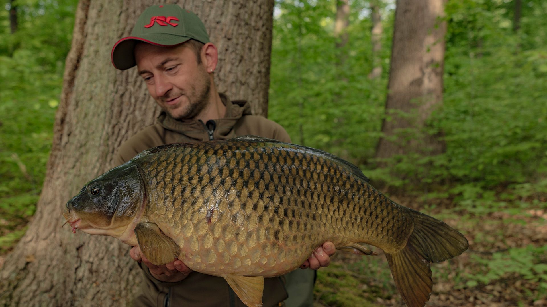 Bestes Futter im Frühling