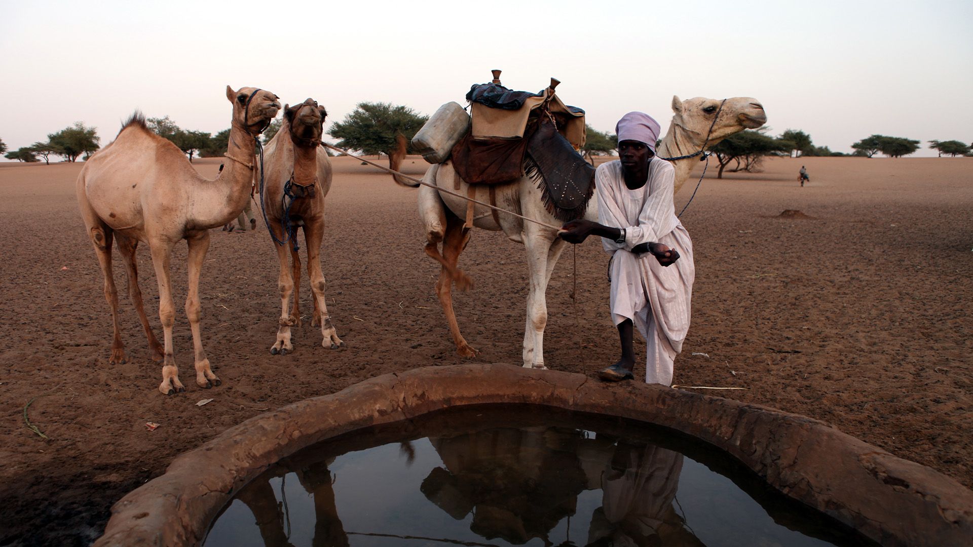 Die letzten Kamelkarawanen der Sahara