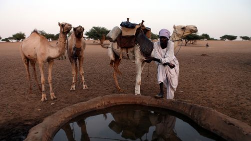 Planet Weltweit Planet Weltweit - Staffel 11 Folge 19: Die letzten Kamelkarawanen der Sahara