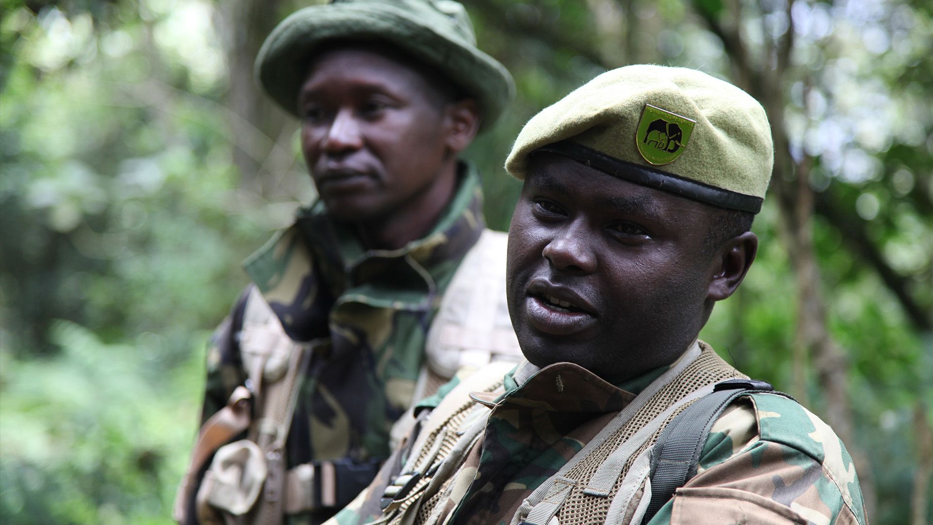 Wildererjagd am Mount Kenya