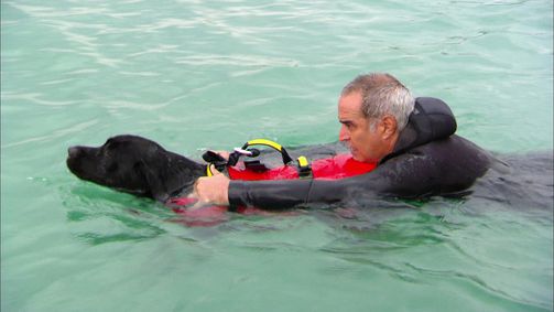 Rund um den Globus Rund um den Globus - Staffel 2 Folge 2: Die Rettungshunde vom Gardasee