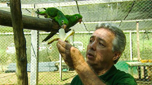 Planet Weltweit Planet Weltweit - Staffel 6 Folge 11: Razzia im Regenwald