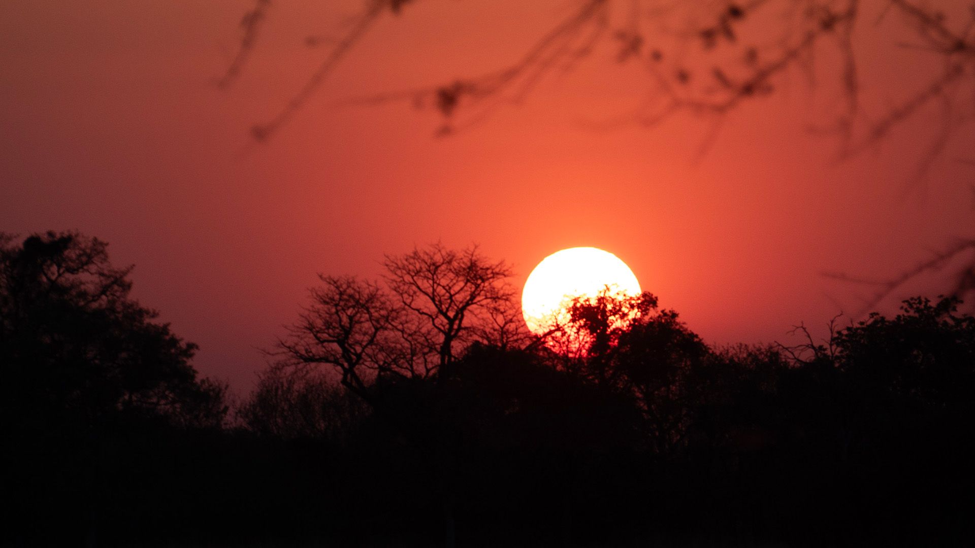 Zurück in der Zivilisation: Maun