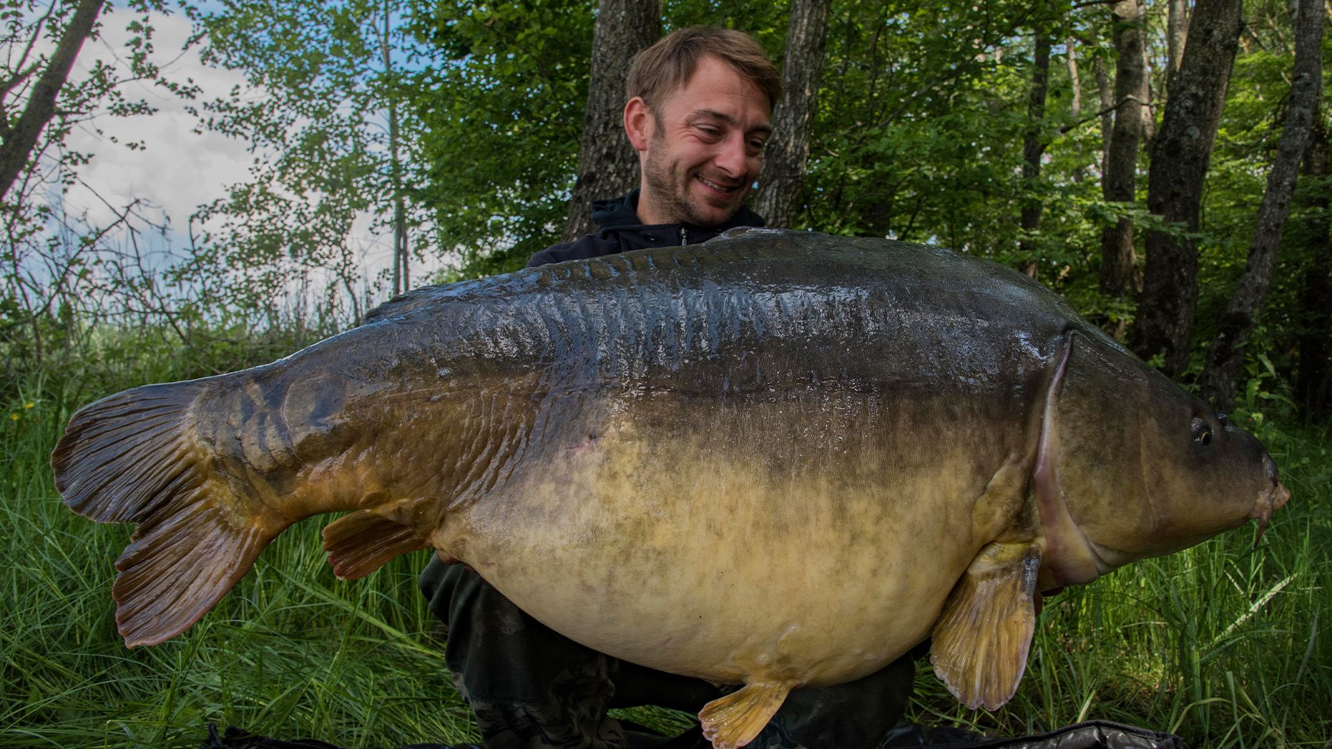 Warum rollen Karpfen?