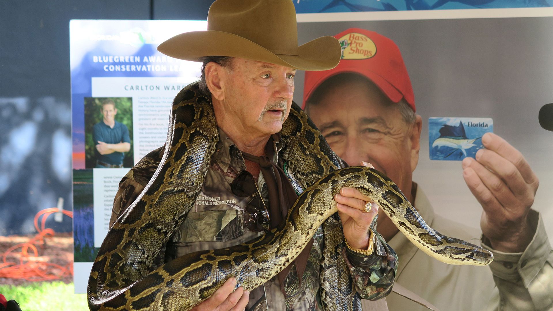 Florida, Invasion der Pythons