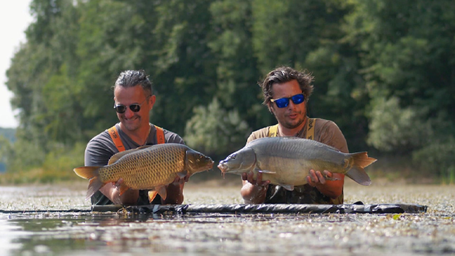 SNAG DREAMS Borovik We Are fish