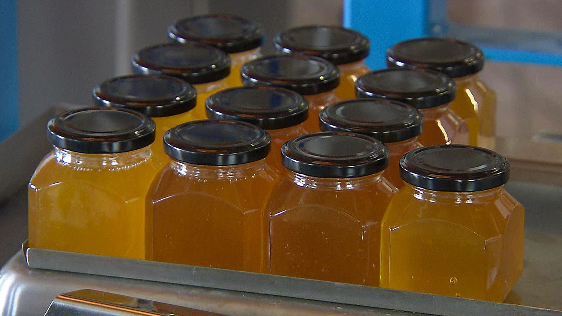 Honig - Genuss und Medizin