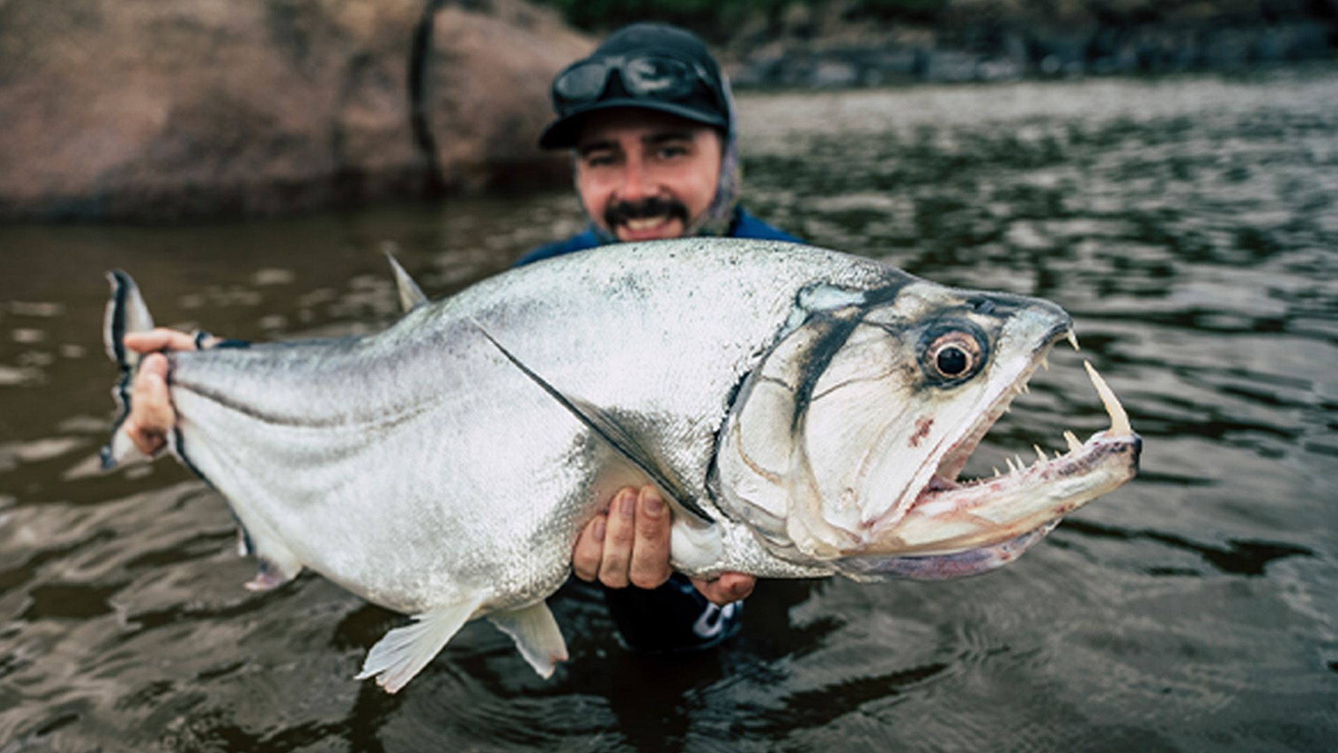 Payara vs. Peacock 2023