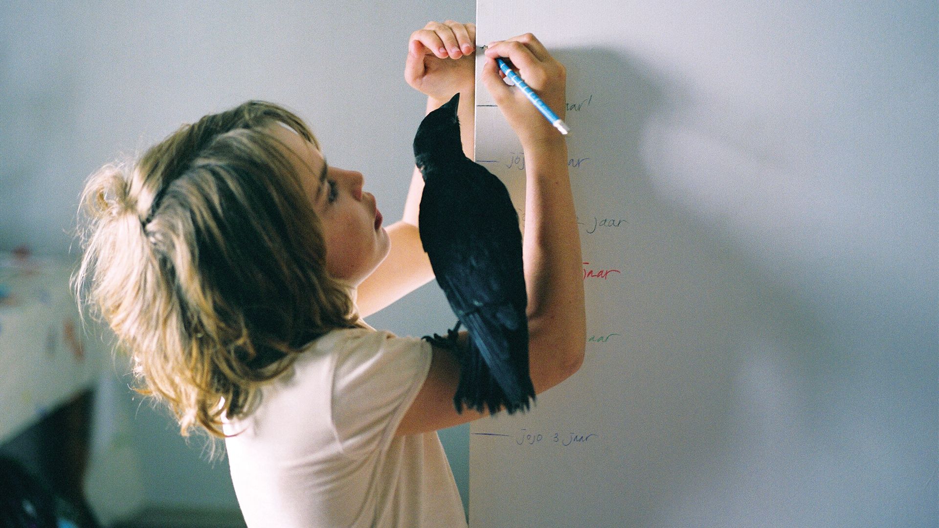 KAUWBOY - Kleiner Vogel, großes Glück