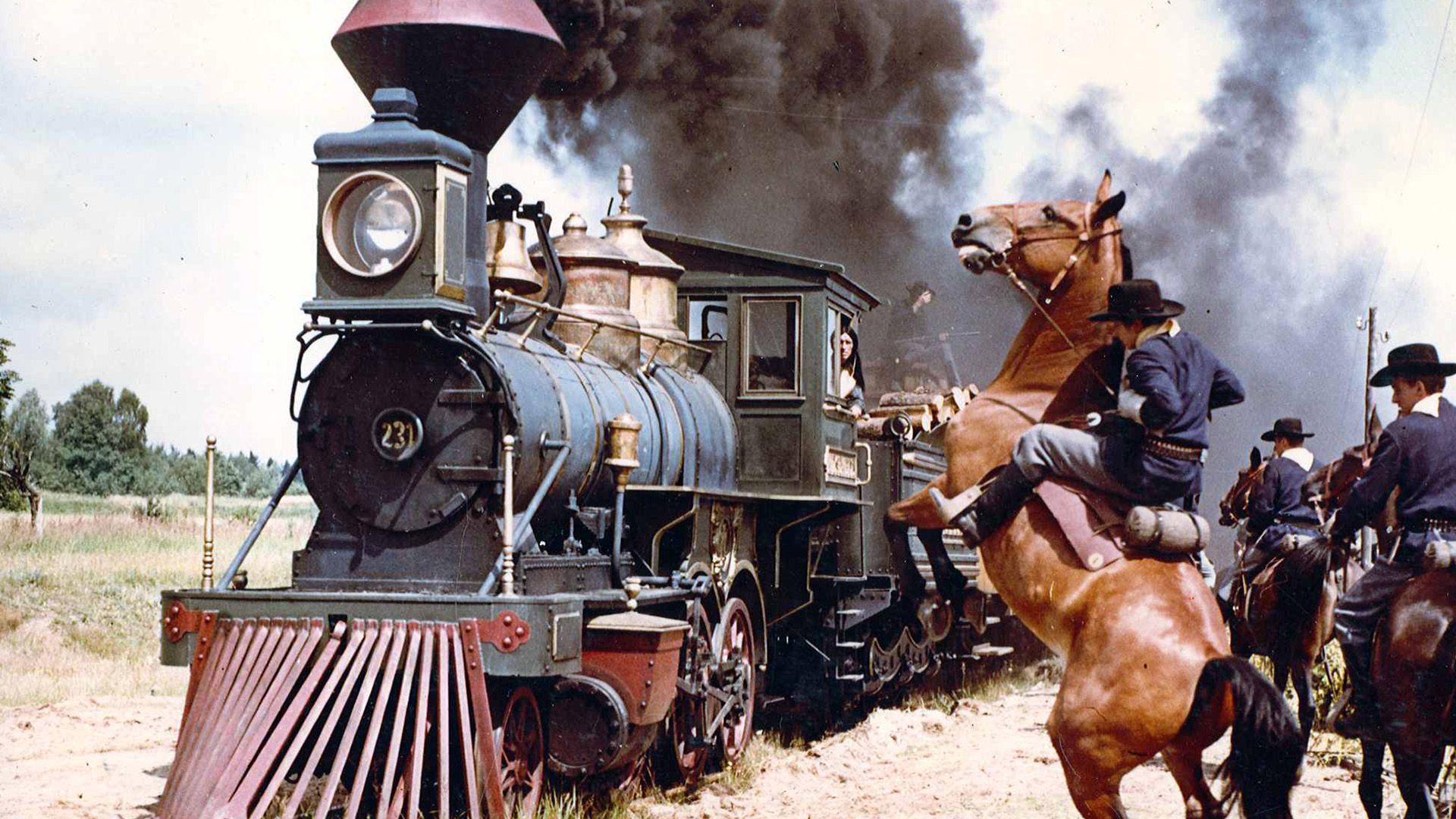Die Spur des Falken