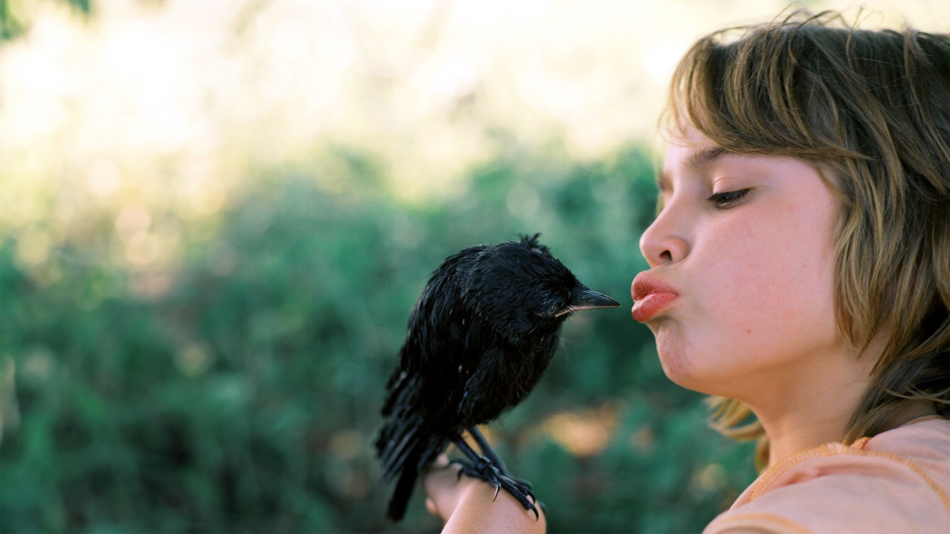 KAUWBOY - Kleiner Vogel, großes Glück