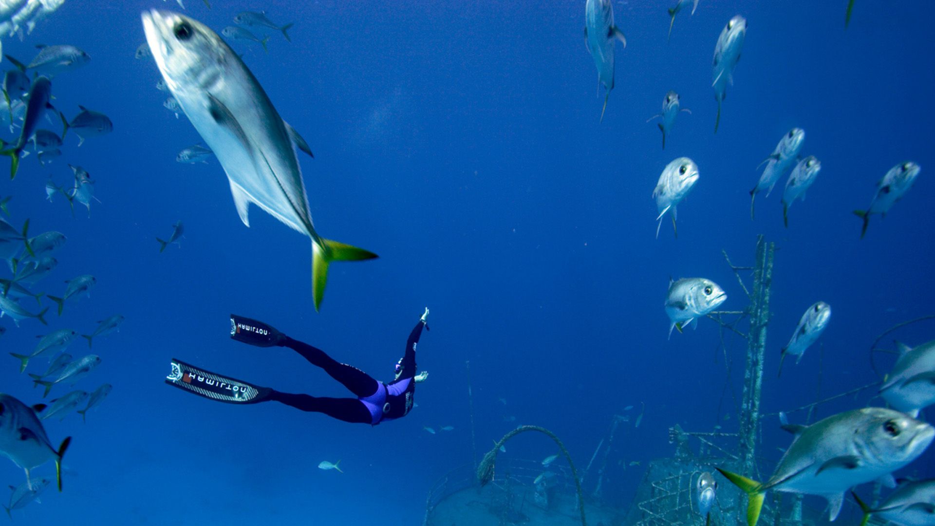 Die Schätze des Mittelmeers