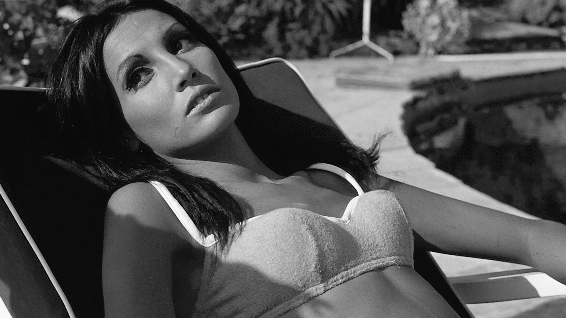 Die neue Kollektionen