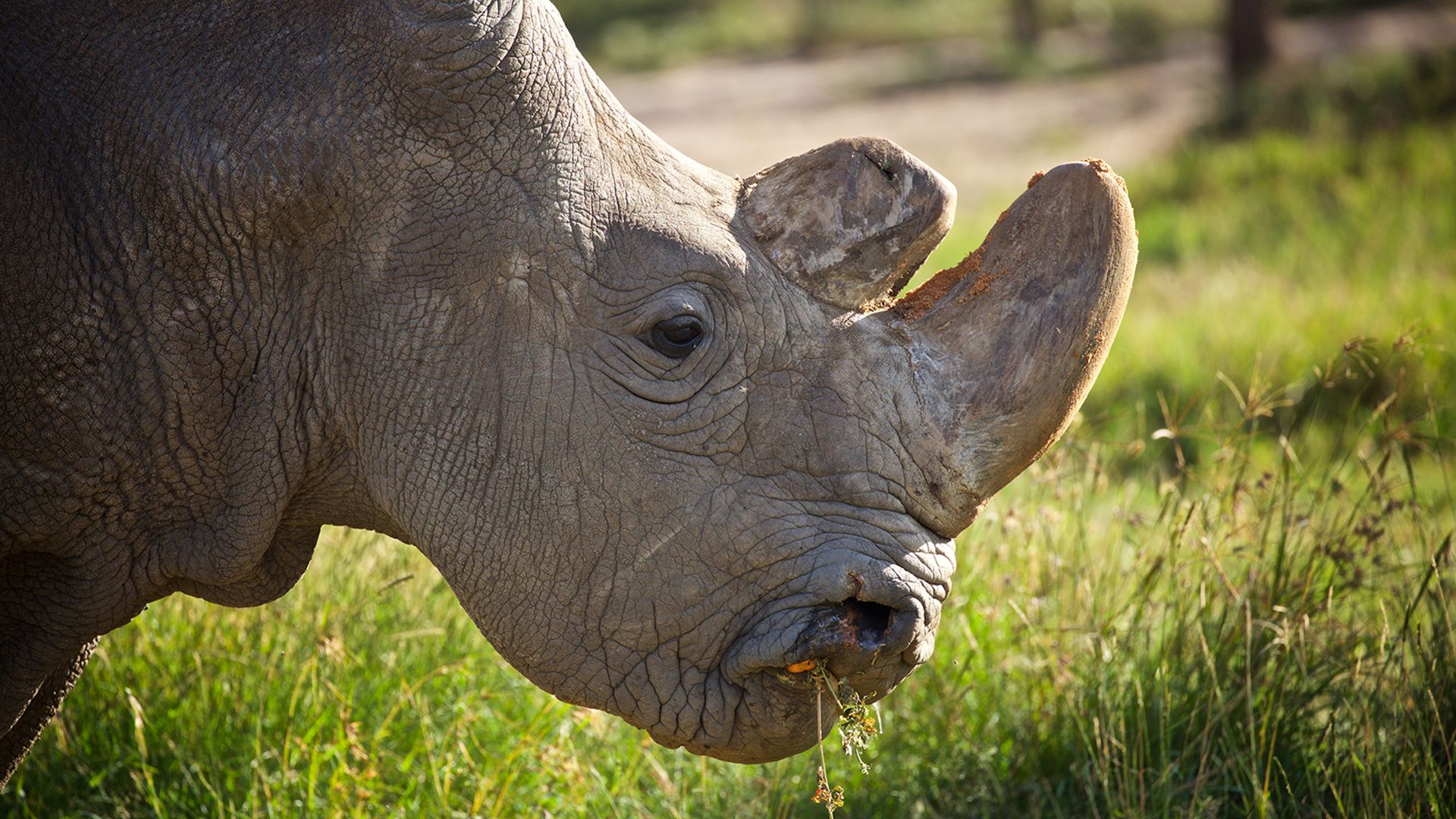 Die Wiege des Lebens