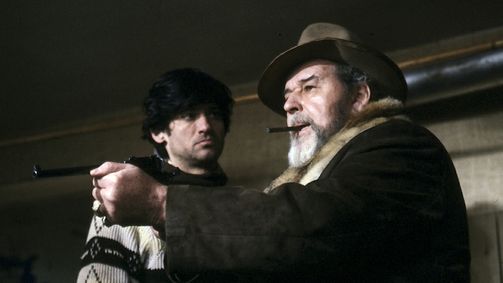 Der Alte Der Alte, Staffel 3 Folge 5: Der Zigeuner