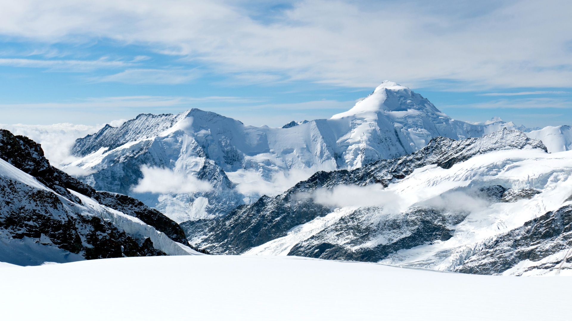 Unsere wilde Schweiz
