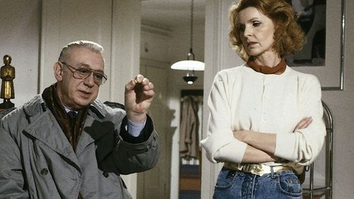 Derrick Derrick, Staffel 15 Folge 14: Die Lebensgefährtin