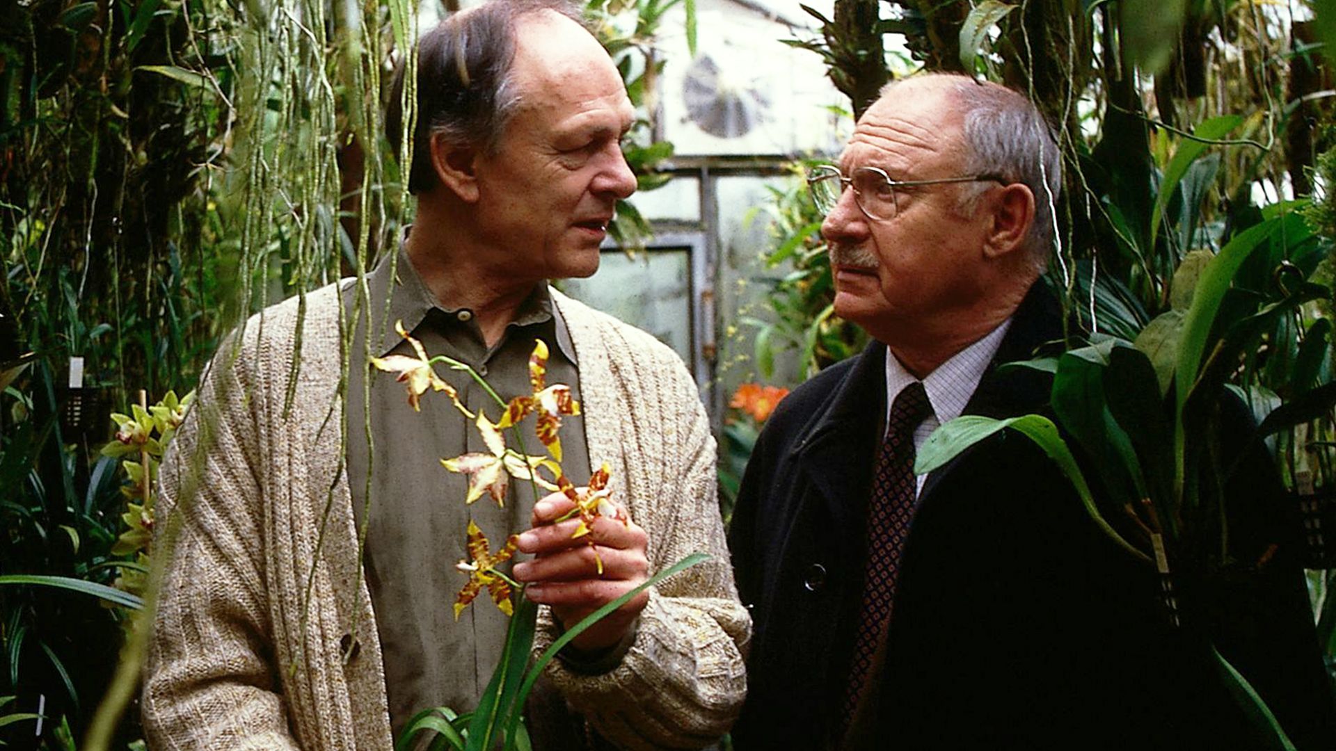 Der Mann mit dem Hund