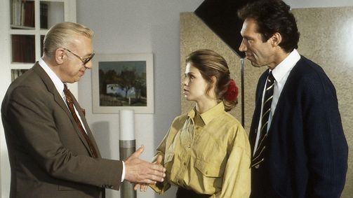 Derrick Derrick, Staffel 15 Folge 8: Kein teurer Toter