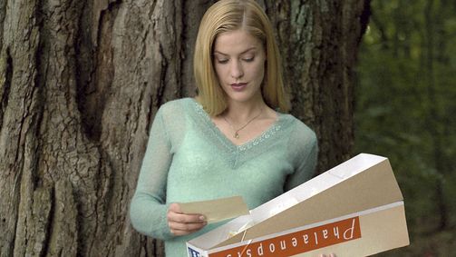 Julia - Wege zum Glück Julia - Wege zum Glück, Staffel 1 Folge 15: Folge 015