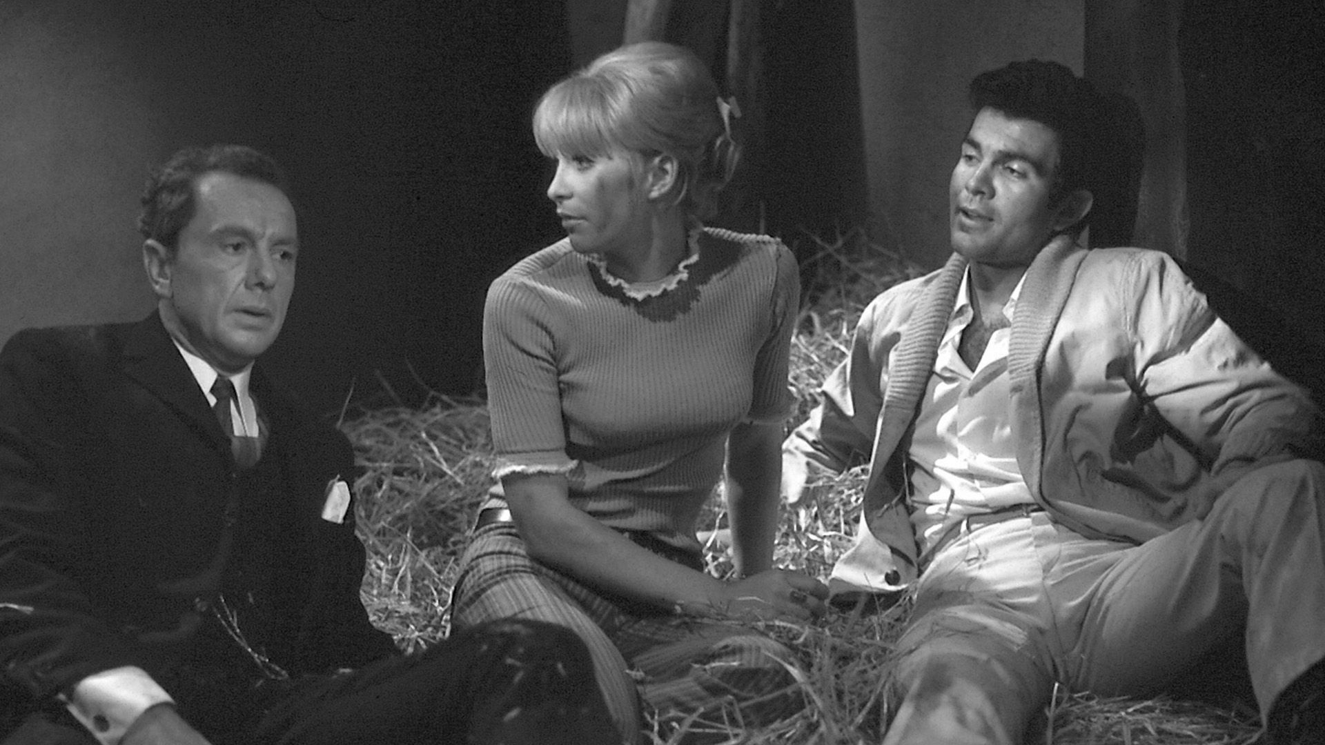 Liebesgabe für Sombrero