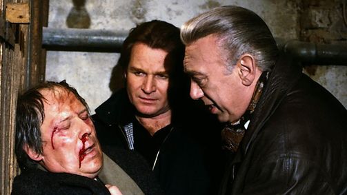 Derrick Derrick, Staffel 10 Folge 4: Der Augenzeuge
