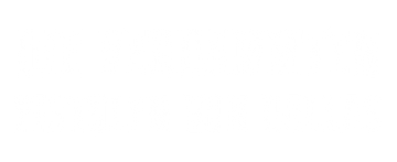 Die verdammten Pistolen von Dallas