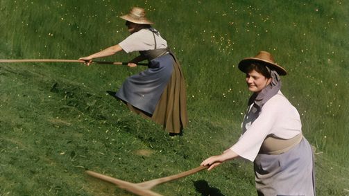Waldheimat Waldheimat - Staffel 1 Folge 8: Der Talerbüchsen-Toni