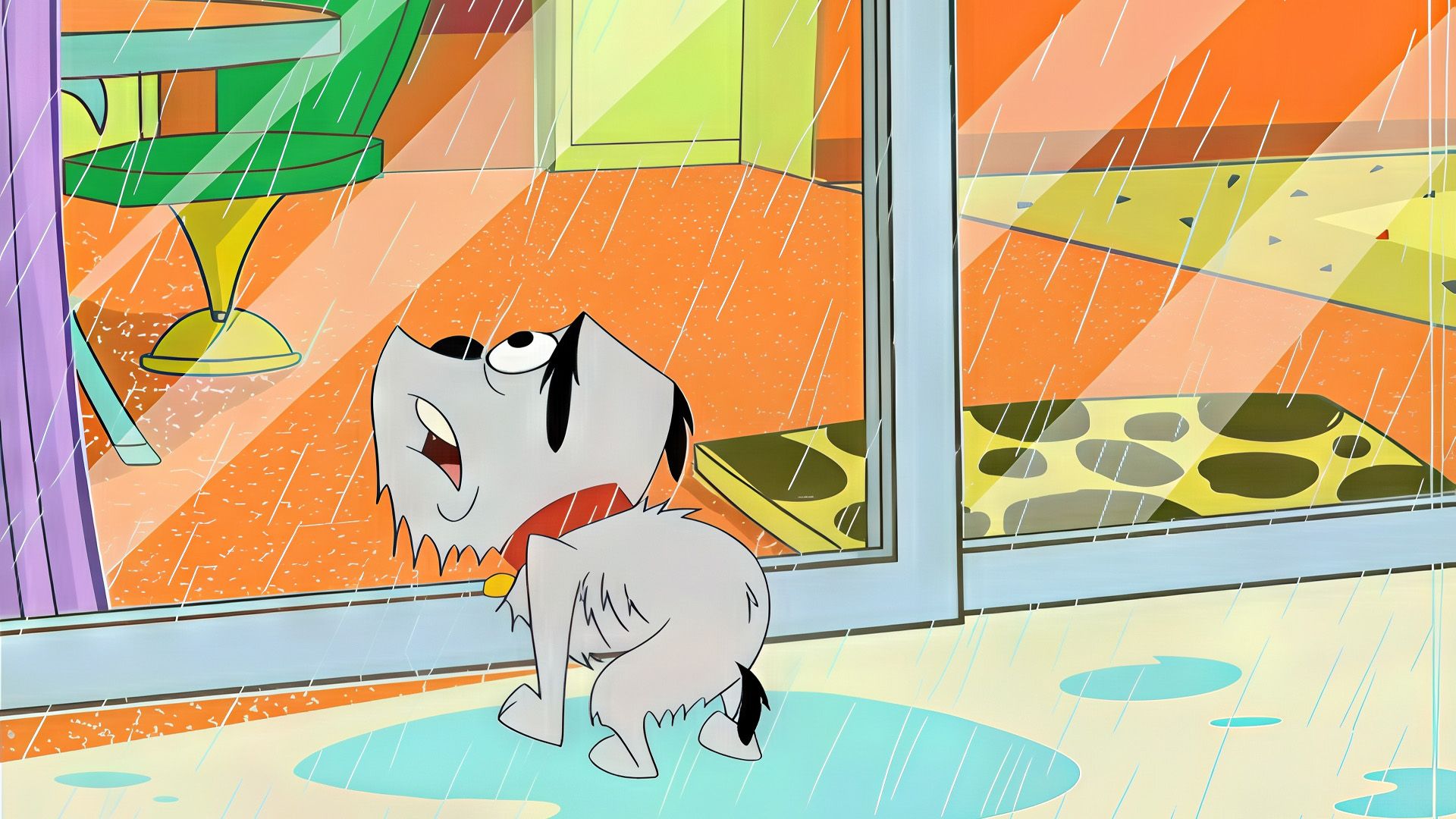 Ein Nachbar mit Niveau