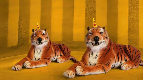 Bumba Bumba - Staffel 1 Folge 11: Episode 11